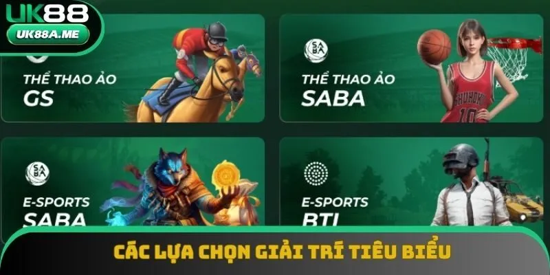 Các lựa chọn giải trí tiêu biểu