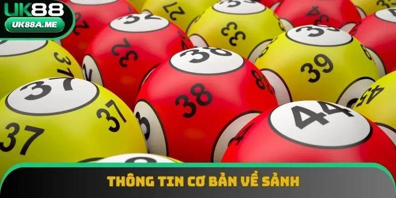 Thông tin cơ bản về sảnh Thông tin cơ bản về sảnh